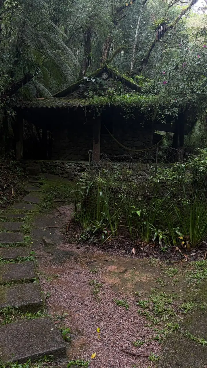 Casa de pedra coberta pela mata, no fim de um caminho de pedras