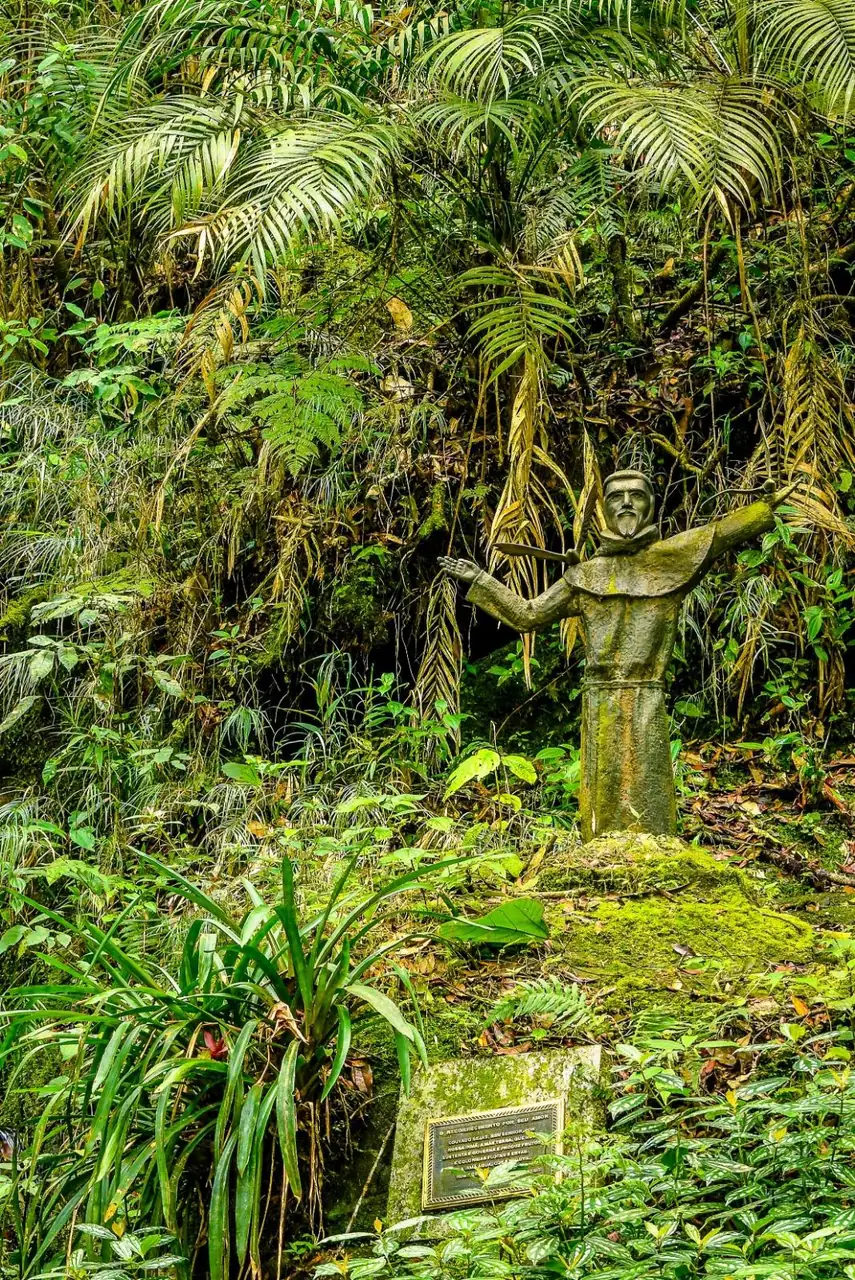 Estátua de São Francisco de Assis de braços abertos entre samambaias e palmeiras, com uma placa aos pés