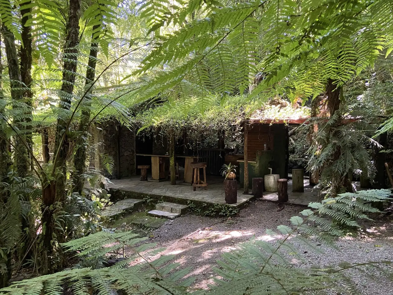 Interior da casa de pedra, com bancos de tronco, entre samambaias