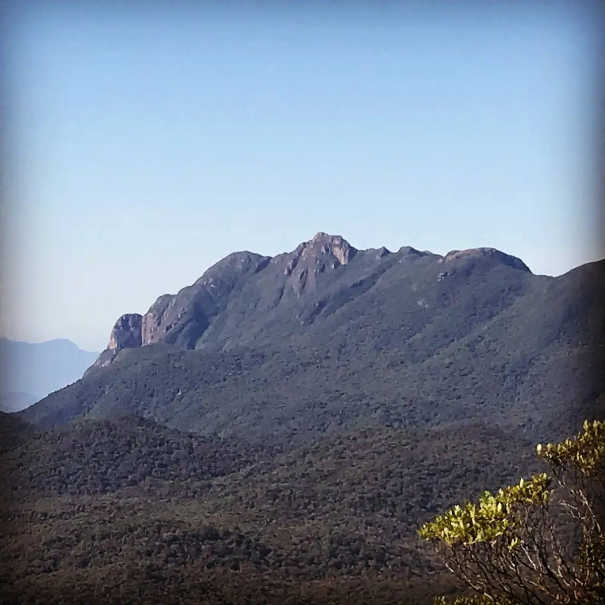 Montanha de topo rochoso cercada de mata